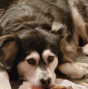 Meet your Posher, Denice